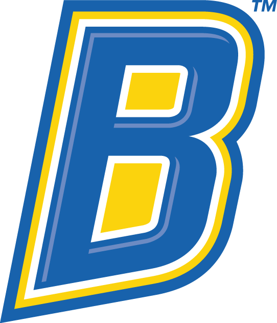 CSU Bakersfield Roadrunners 2006-Pres Alternate Logo v4 iron on transfers for T-shirts